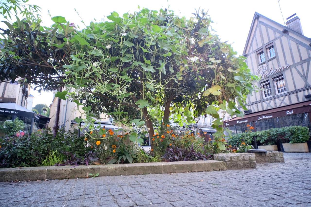 Apartament Le Perroquet Fringant, Rue Pietonne Et Quartier Historique Caen Zewnętrze zdjęcie